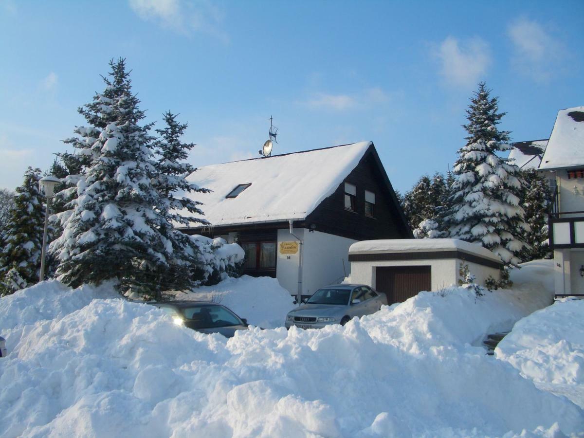 Haus Hannelore Willingen (Upland) Exterior foto